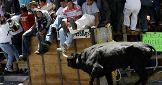 Thirteen injured during Bulls Festival in Mexico
